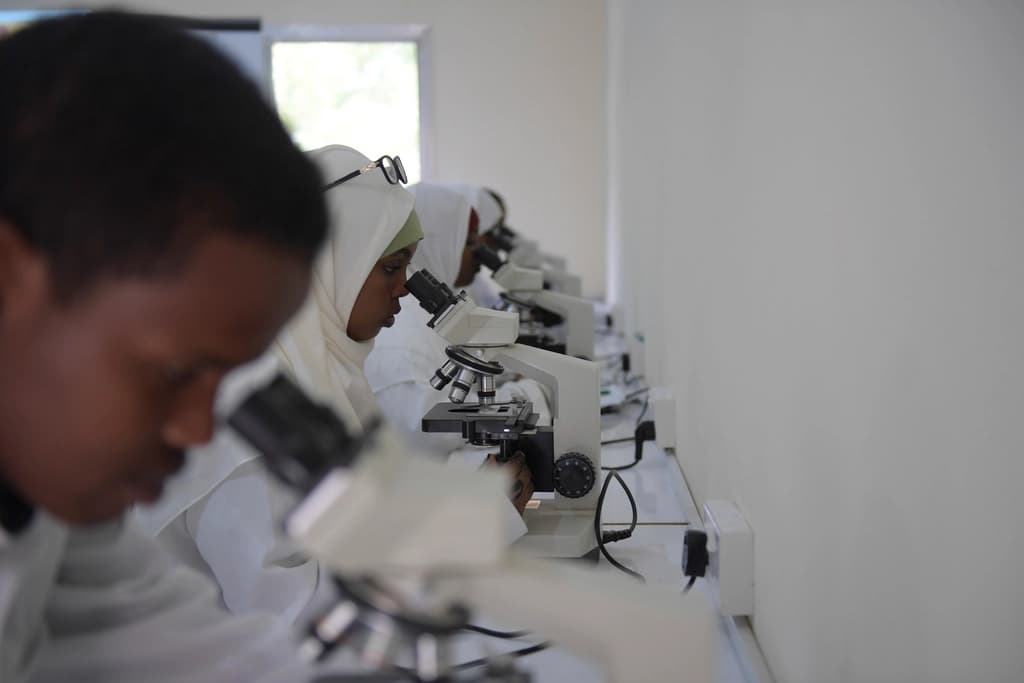 A student using a microscope in a laboratory